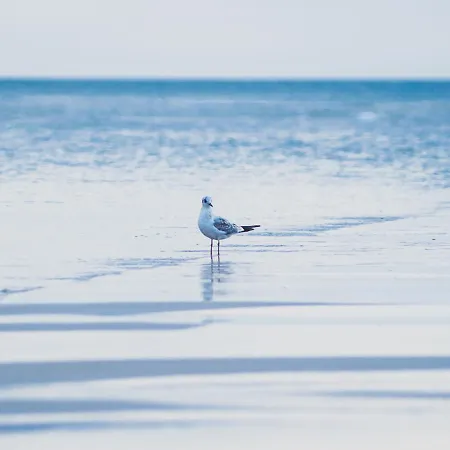 Na Cichej 5 A1 Apartment