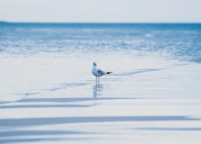 Na Cichej 5 A1 Lägenhet